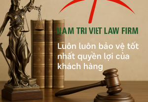 Đơn kháng cáo khi chưa có bản án